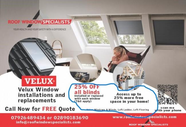 Roof Window Specialists